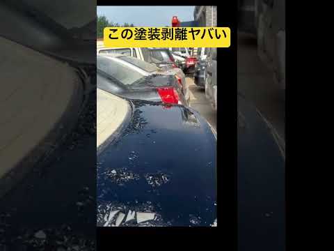 この塗装剥がしがヤバい　#shorts