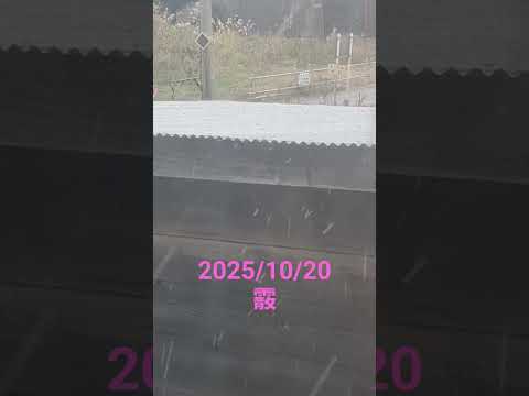 小樽初雪