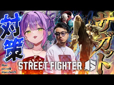 【 STREET FIGHTER 6 】師匠とサガット対策とか…！【常闇トワ/ホロライブ】