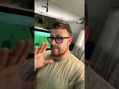 The video you have been waiting for #aquarium #aqu 