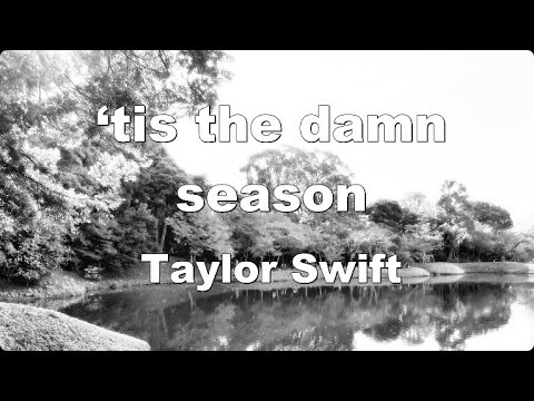Karaoke♬ ‘tis the damn season - Taylor Swift 【No Guide Melody】 Instrumental