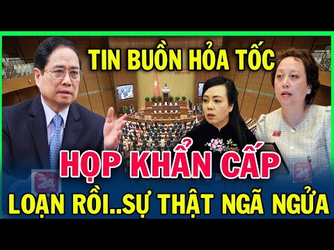 Tin nóng ĐẶC BIỆT mới nhất ngày 29/06/2025 I Tin Nóng Chính Trị Việt Nam và Thế Giới✈tintuc24hhd
