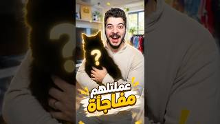 ‏قررت اتبنى قطة ولكن!😭