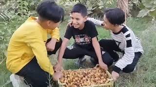 يسرقون الرطب😁😁