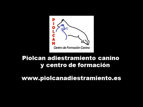 Piolcan adiestramiento canino y centro de formación (Anuncio) - Piolcan