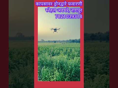 कापसावर ड्रोनद्वारे फवारणी सुरू🌱🌿 #shorts #ytshorts #trending #short #youtubeshorts #youtube.