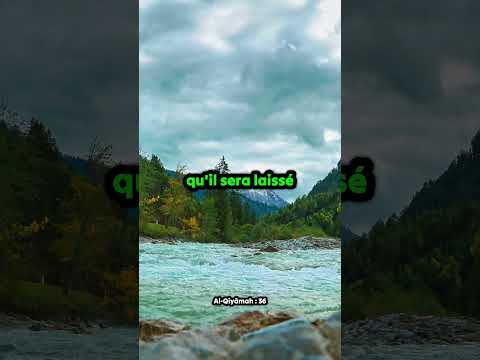 Quel est le but de ta vie ? La réponse au vide de l'athéisme #4