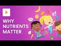 Exploring Food Groups and Their Nutritional Benefits