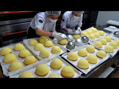 치즈를 미친듯이 들이부은 케익! 역대급 치즈폭탄 치즈케이크 Best 몰아보기 Cheese bomb! 6 Best amazing korean cheesecake collection