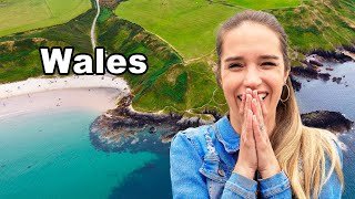 I Think We Have Found The Best Part of Wales