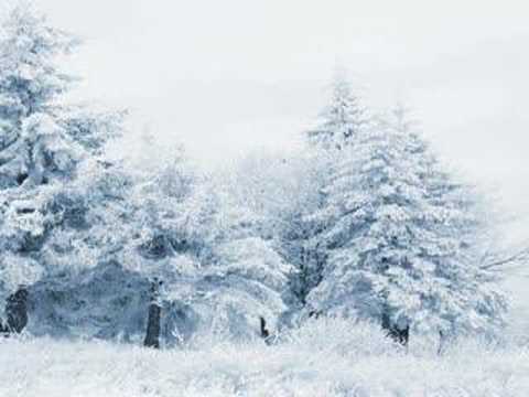 Chi-Lites - The Coldest Days of My Life  Part 1&2 [ Lyrics ]