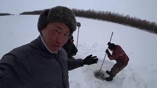 видео