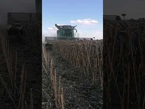 JOHN DEERE S 780 з жаткою Olimac Drago