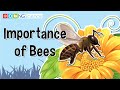 Understanding Insects and the Importance of Bees