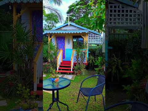 #gardentour  #succulentslover  #shortvideo