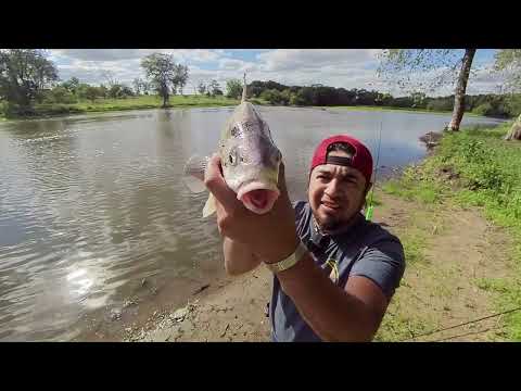 Grandioso dia de pesca