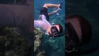 The Best Snorkeling Spot in American Samoa!