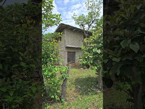 Aqui es donde todo se detiene #vidanocampo #elcampo #elsalvador