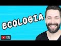 Biomas e Ecossistemas: Conceitos Fundamentais