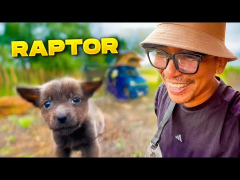 SAVING HOMELESS & ABANDONED DOG | Random Spot Camping in Zambales
