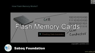 Flash Memory Cards