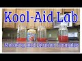 Kool-Aid Solution Concentration Concepts