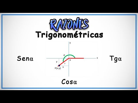 RAZONES TRIGONOMÉTRICAS Explicación Fácil