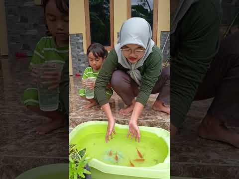 Ayo tangkap ikan 🐠🐋🐟 #funny #shorts