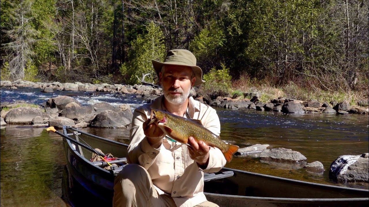 Growing Food with Fish in the Forest Self Sufficient Living Off Grid Homestead