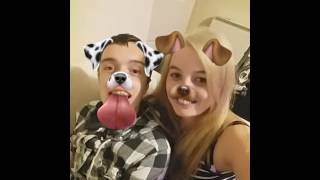 a pair of dogs
