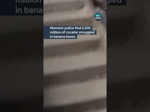 A drug-smuggling gang has been jailed after cocaine was intercepted in a shipment of bananas.