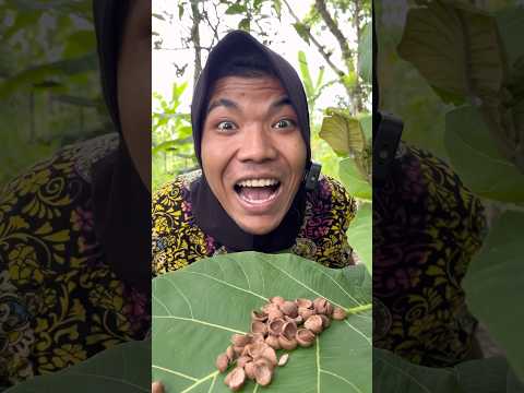 Survival Skill : Koko Krunch