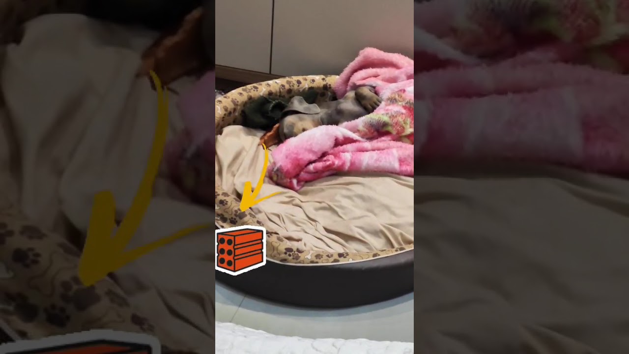 Como utilizar o terminal integrado do Visual Studio Code | Bruno Brito