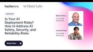 Is Your AI Deployment Risky? How to Address AI Safety, Security, and Reliability Risks