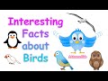Bird Characteristics and Behaviors
