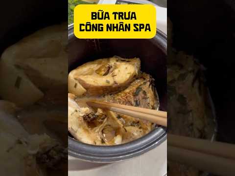 bữa cơm trưa của công nhân với cá diêu hồng và canh rau cải