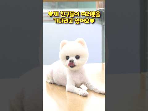 제가 박스에 맞기를 기다리고 계셨나요? 이미지