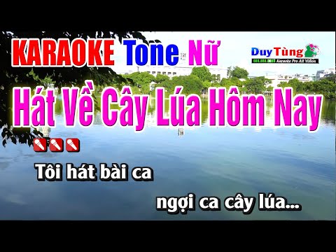 Karaoke || Hát Về Cây Lúa Hôm Nay – Tone Nữ || Nhạc Sống Duy Tùng