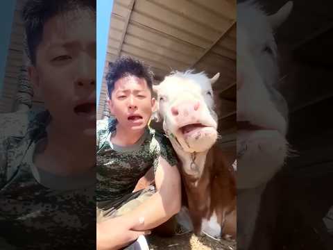 Epic funny video 😂😂😂 #shorts #failsshorts #comedy #funnyfails
