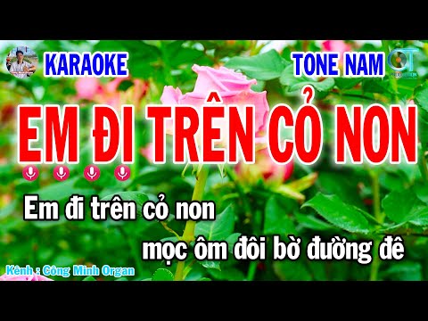 Karaoke Em Đi Trên Cỏ Non Tone Nam | Nhạc Sống 2025