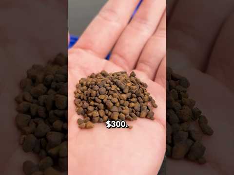 Can this save you $300 a year?