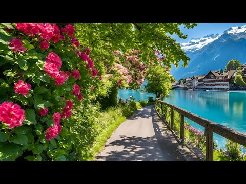 Peaceful Morning Walk in Swiss Town Interlaken Switzerland 🇨🇭Top Travel Destination