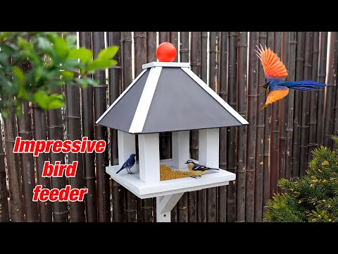 Build modern bird feeder from wood