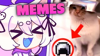Pooky REACCIONA a unusual MEMES