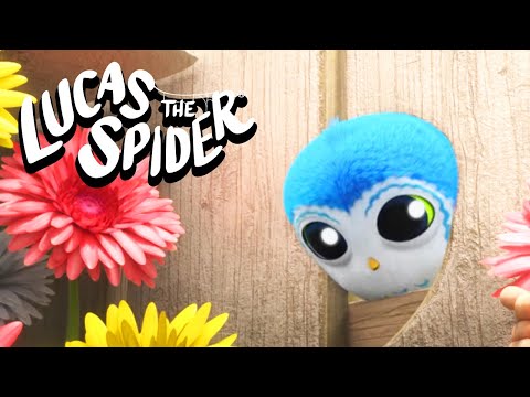 Oh no! Arlo gets STUCK! |  Lucas The Spider