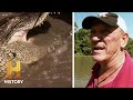 Troy's Alligator Hunting Experience