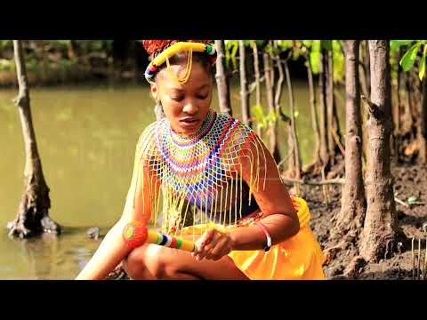 Zulu  Maidens African Beauty #dance #trending #southafrican #culture #umemulo #wedding