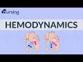 Cardiac Function and Output Concepts