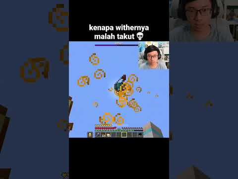 Momen Wither Minecraft