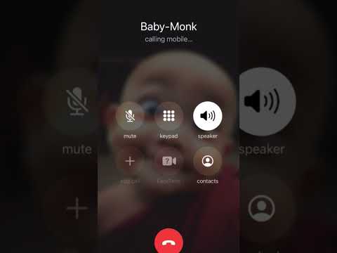 Calling Baby Monk...(20 mins but no answer)